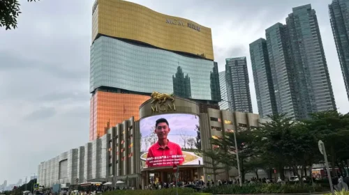 Parent company's brand fee hike proves penny wise and pound foolish as MGM China stock plunges, wiping billions from market cap